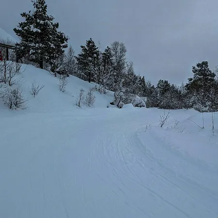 With Views Near Haukelifjell * Nesland