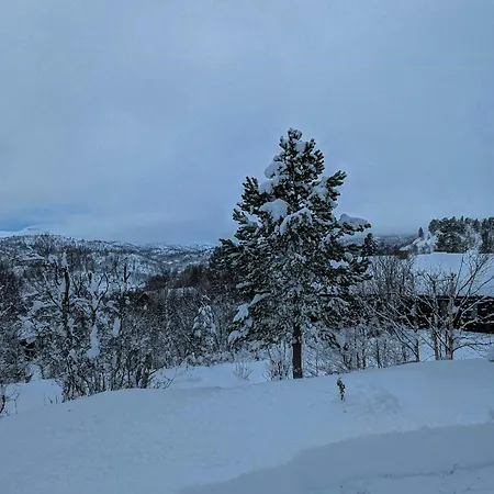 With Views Near Haukelifjell *
