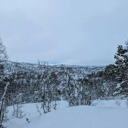 With Views Near Haukelifjell Dom wakacyjny Nesland