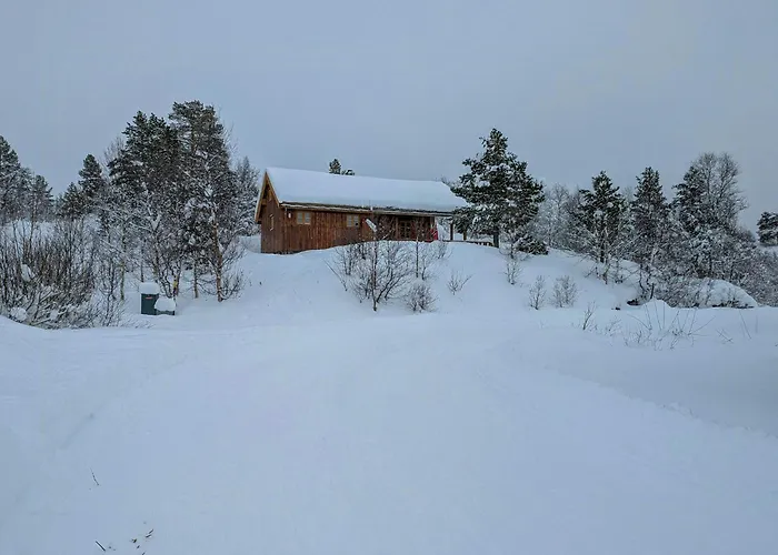 With Views Near Haukelifjell