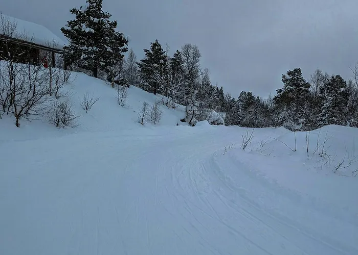 With Views Near Haukelifjell * Nesland