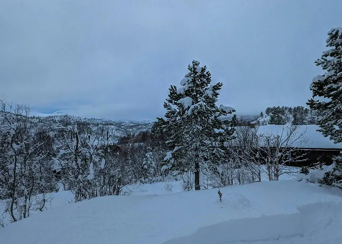 With Views Near Haukelifjell *
