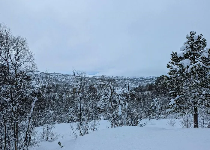 With Views Near Haukelifjell Hébergement de vacances Nesland